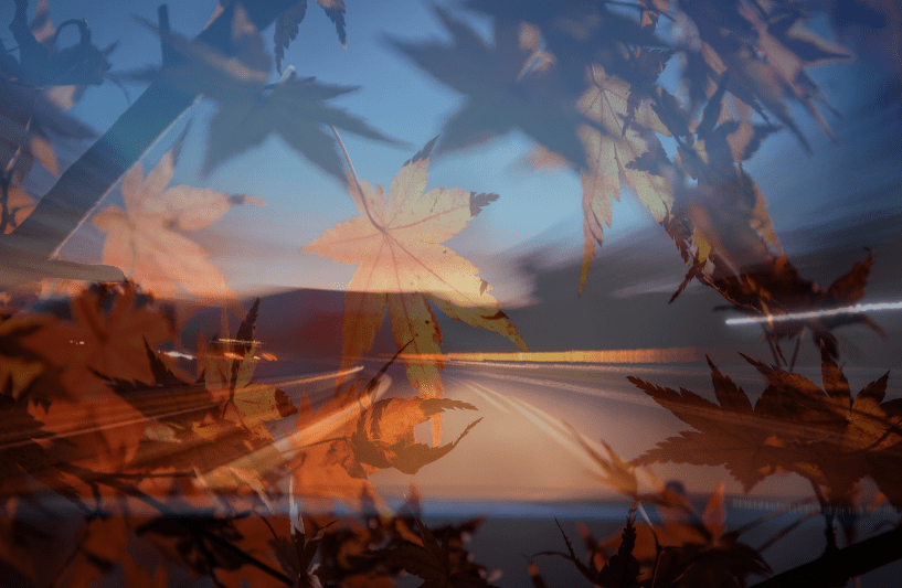 Fall Environmental Safety Hazards